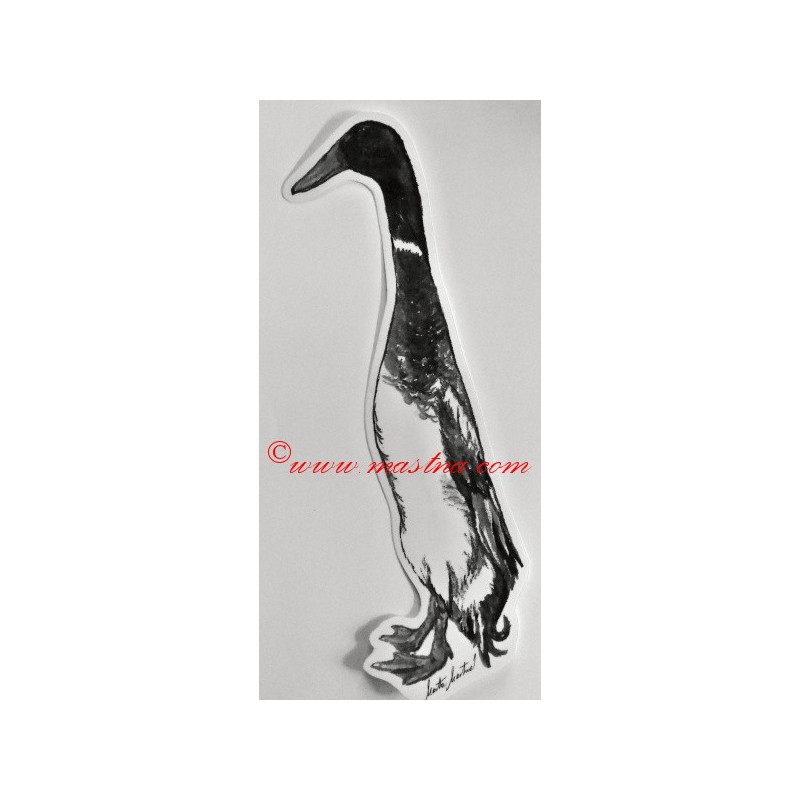 Samolepka kachna indický běžec