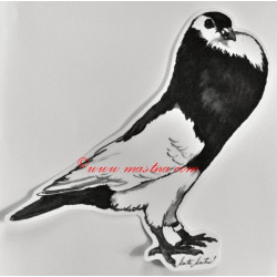 Samolepka holub český stavák