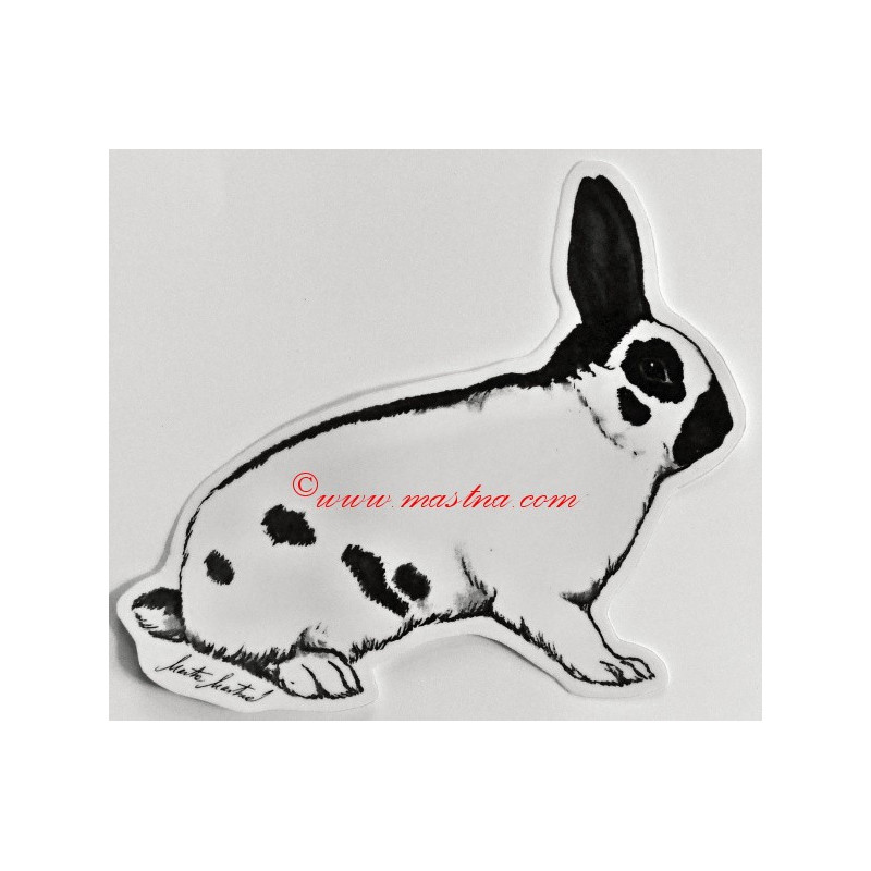 Samolepka králík český strakáč