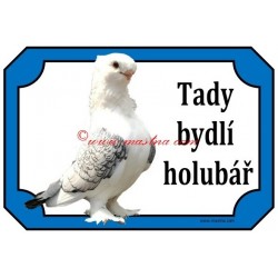 Tabulka holub orientální racek - sovka