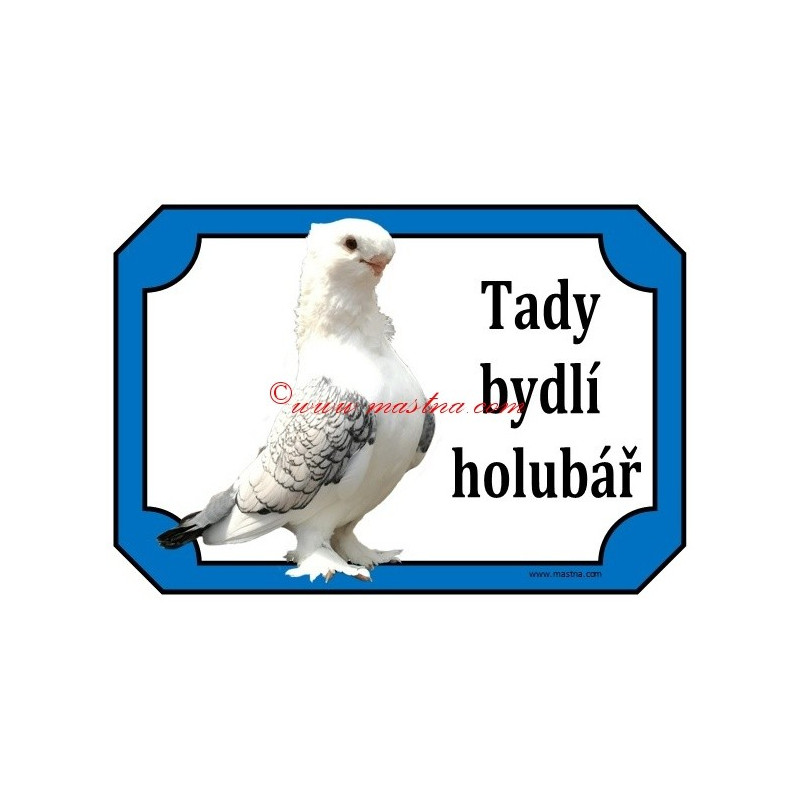 Tabulka holub orientální racek - sovka