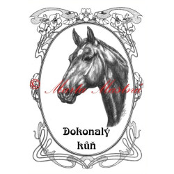 Tabulka koně teplokrevník