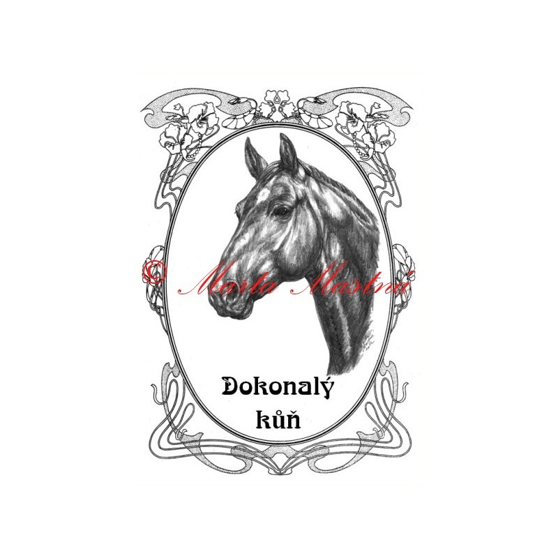 Tabulka koně teplokrevník