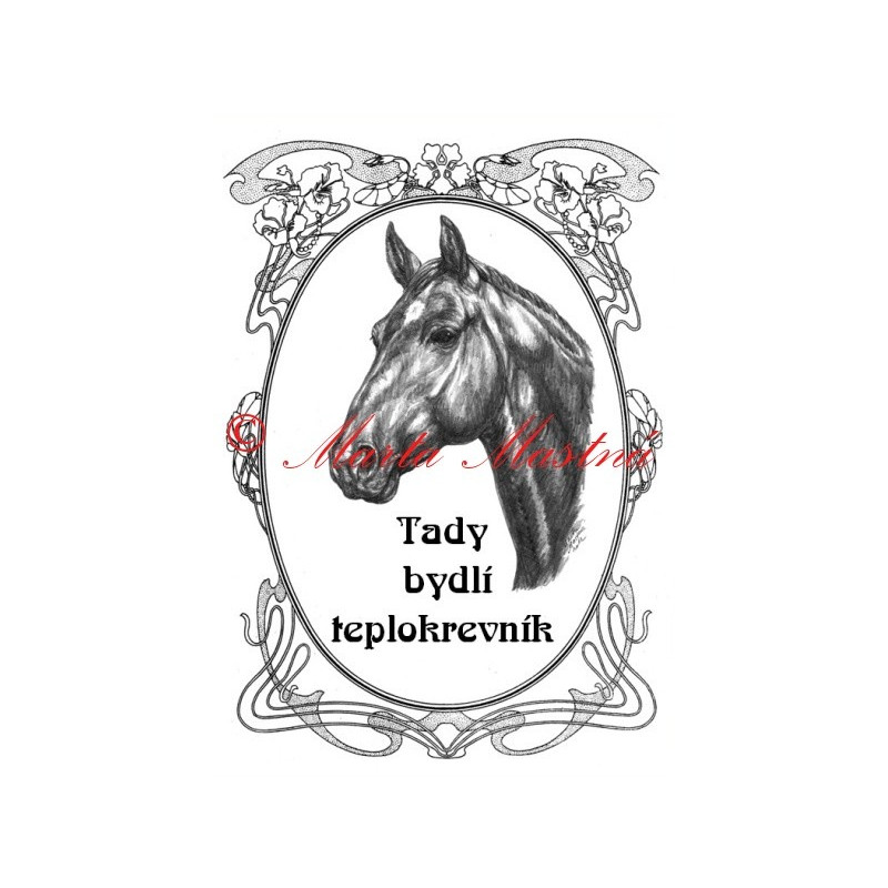 Tabulka koně teplokrevník