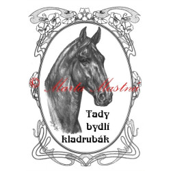 Tabulka kladrubský kůň černý