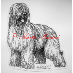 Briard