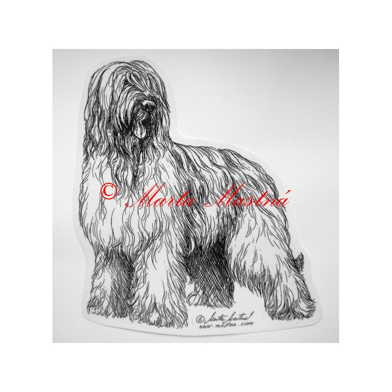 Briard
