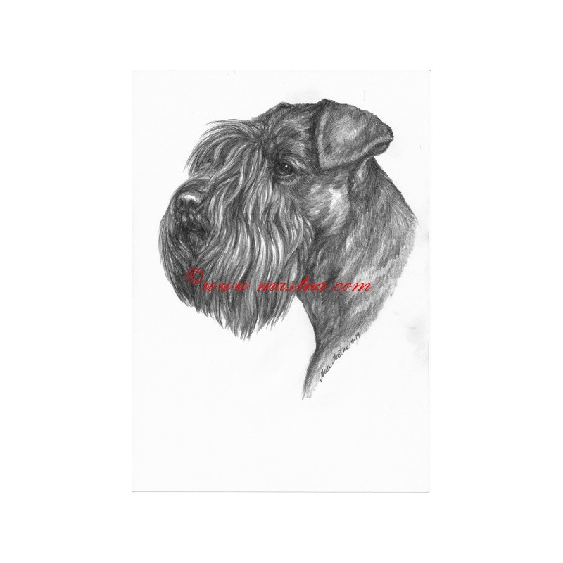 Obraz knírač, tužka - tisk