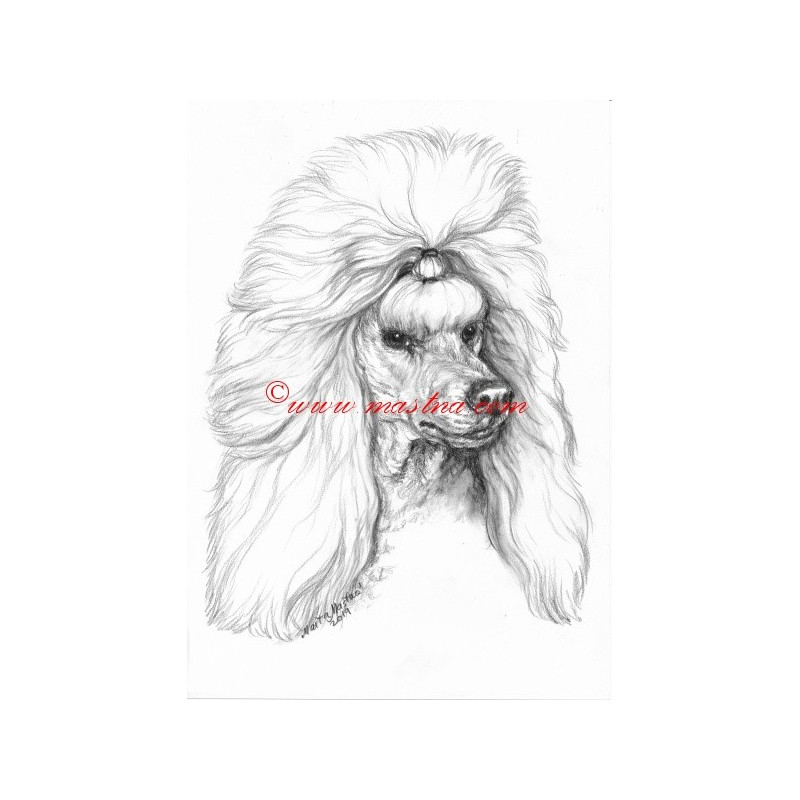 Obraz pudl, tužka - tisk