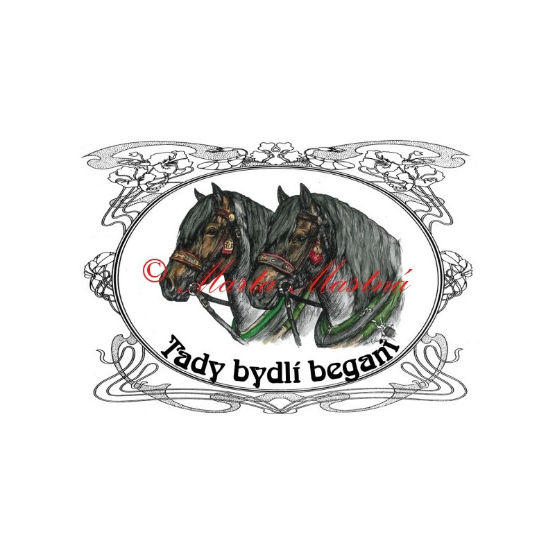 Tabulka chladnokrevníci, slezský norik