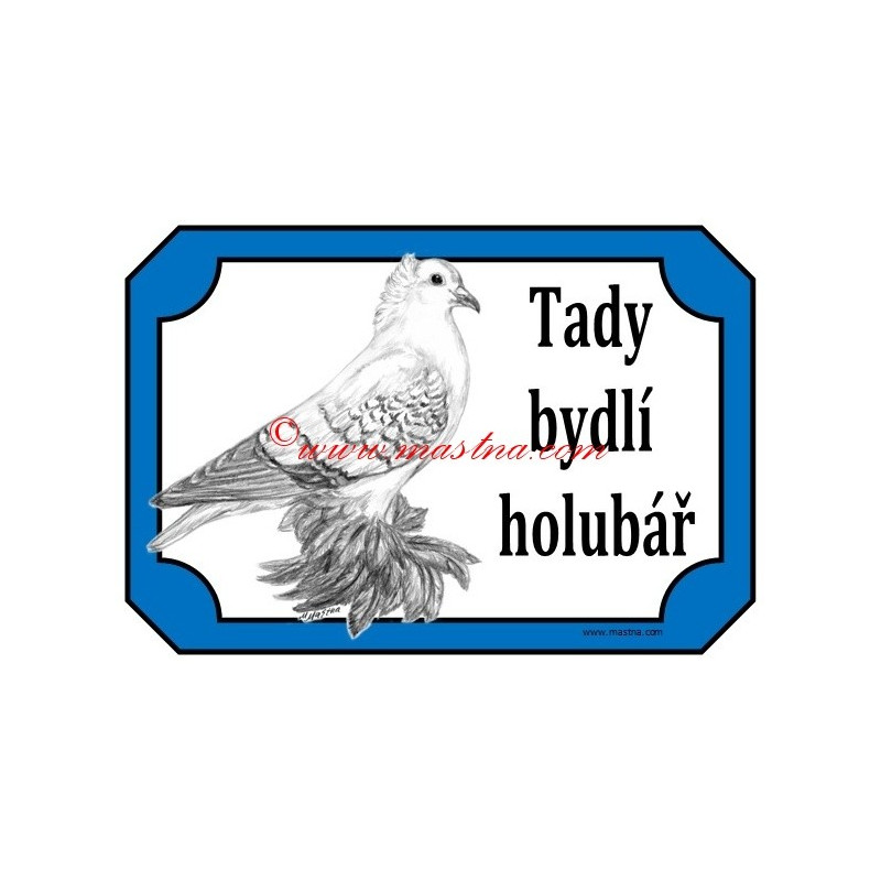 Tabulka holub česká čejka