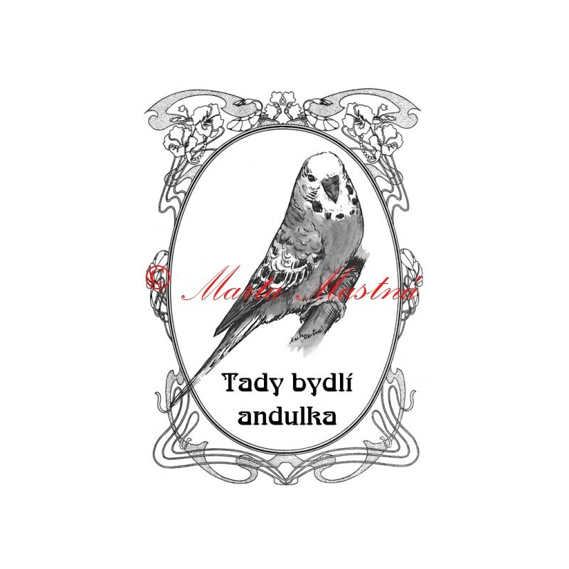 Tabulka papoušek vlnkovaný - andulka