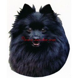 Samolepka německý špic