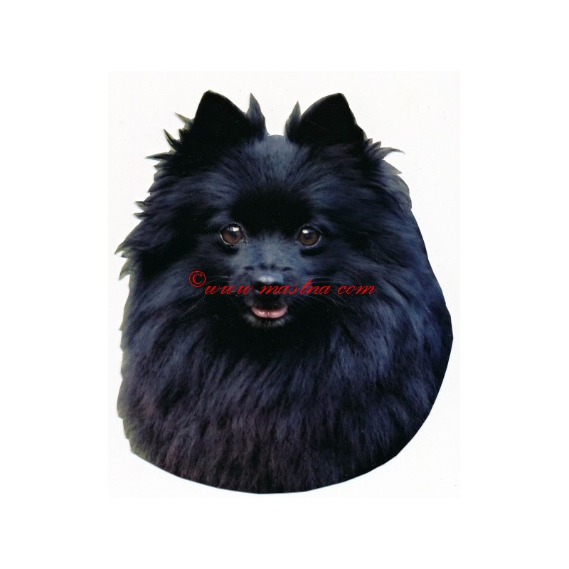 Samolepka německý špic