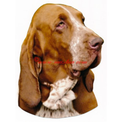 Samolepka italský ohař, bracco italiano