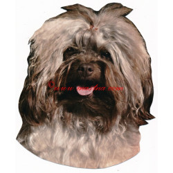 Samolepka bolonka barevná, boloňský psík