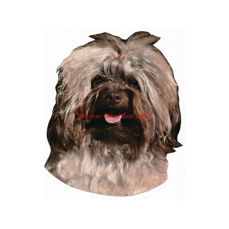 Samolepka bolonka barevná, boloňský psík