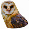 Samolepka sova pálená