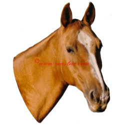 Samolepka kůň Kinský, koně