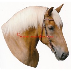 Samolepka českomoravský belgik, chladnokrevný kůň , koně