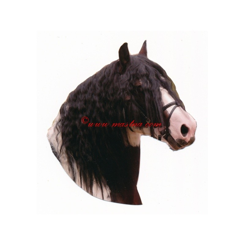 Samolepka irský cob, tinker, kůň , koně