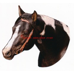 Samolepka paint horse, kůň , koně