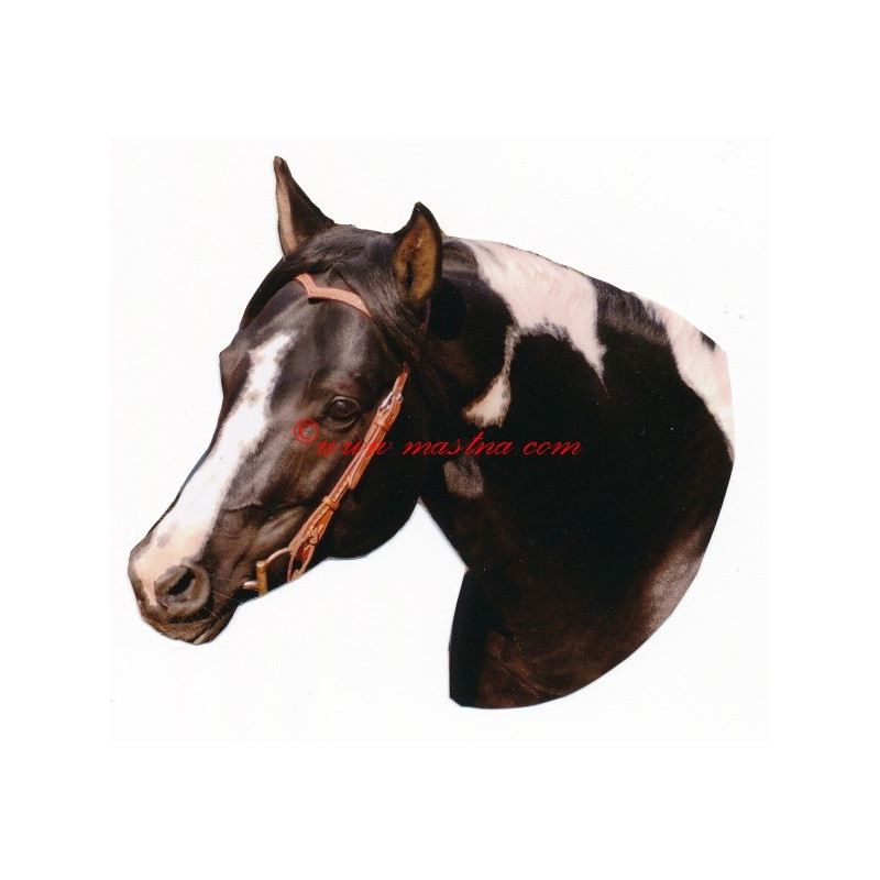 Samolepka paint horse, kůň , koně