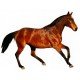 Samolepka anglický plnokrevník Del Lady, kůň , koně