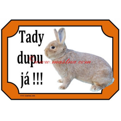 Tabulka králík stříbřitý žlutý