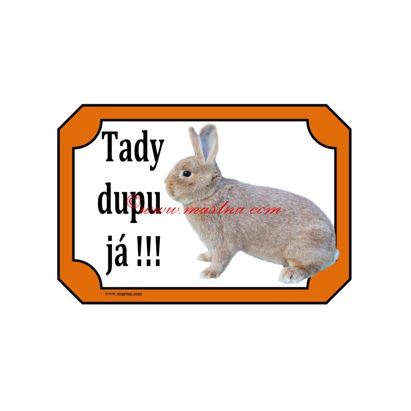 Tabulka králík stříbřitý žlutý