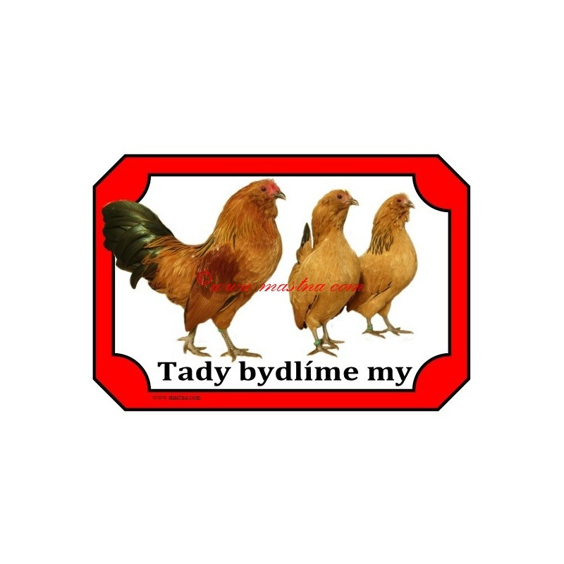 Tabulka drůbež, slepice antverpský vousáč