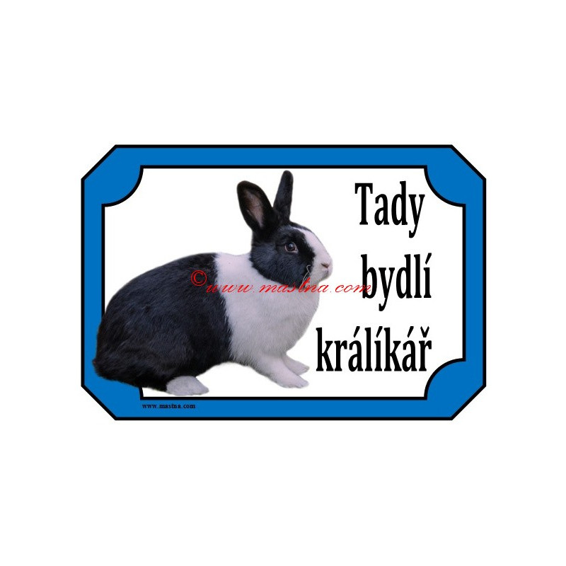 Tabulka králík holandský