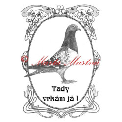 Tabulka holub poštovní