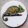Chameleon magnet nebo placka