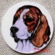 Bígl, beagle magnet nebo placka