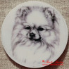 Špic pomeranian magnet nebo placka