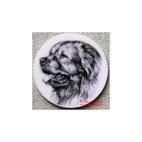 Kavkazský pastevecký pes magnet nebo placka