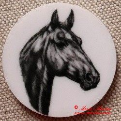 Kůň teplokrevník magnet nebo placka