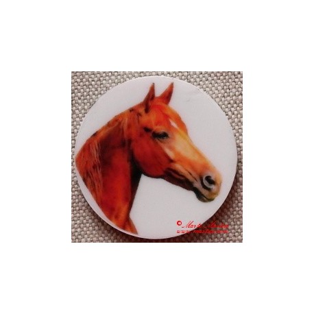 Kůň teplokrevník magnet nebo placka