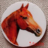 Kůň teplokrevník magnet nebo placka