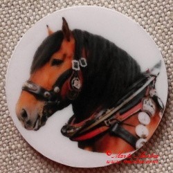 Kůň norik magnet nebo placka
