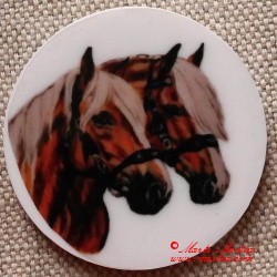 Kůň hafling magnet nebo placka
