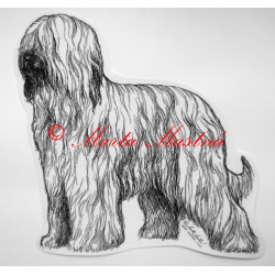Briard