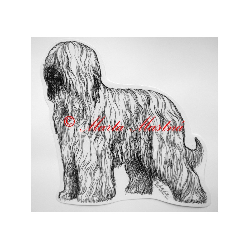 Briard