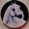 Kůň arabský magnet nebo placka