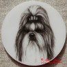 Shih-tzu magnet nebo placka