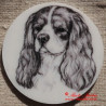 Kavalír king Charles španěl magnet nebo placka