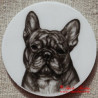 Francouzský buldoček magnet nebo placka