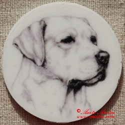Labrador retrívr magnet nebo placka