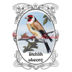 Tabulka stehlík obecný